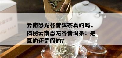 云南恐龙谷普洱茶真的吗，揭秘云南恐龙谷普洱茶：是真的还是假的？