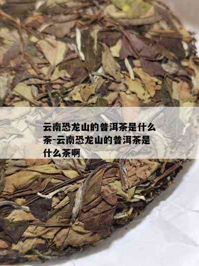 云南恐龙山的普洱茶是什么茶-云南恐龙山的普洱茶是什么茶啊