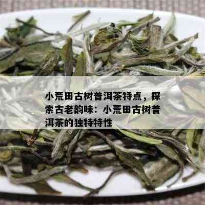 小荒田古树普洱茶特点，探索古老韵味：小荒田古树普洱茶的独特特性