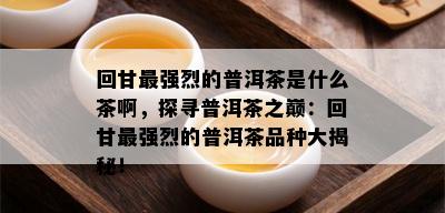 回甘最强烈的普洱茶是什么茶啊，探寻普洱茶之巅：回甘最强烈的普洱茶品种大揭秘！