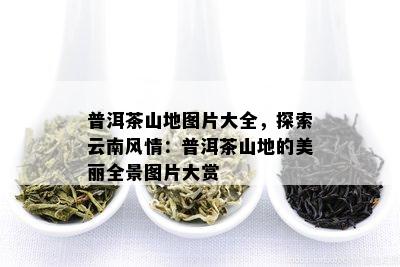 普洱茶山地图片大全，探索云南风情：普洱茶山地的美丽全景图片大赏