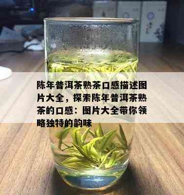 陈年普洱茶熟茶口感描述图片大全，探索陈年普洱茶熟茶的口感：图片大全带你领略独特的韵味