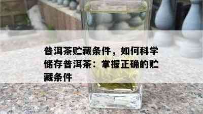 普洱茶贮藏条件，如何科学储存普洱茶：掌握正确的贮藏条件