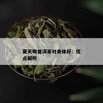 夏天喝普洱茶对身体好：优点解析