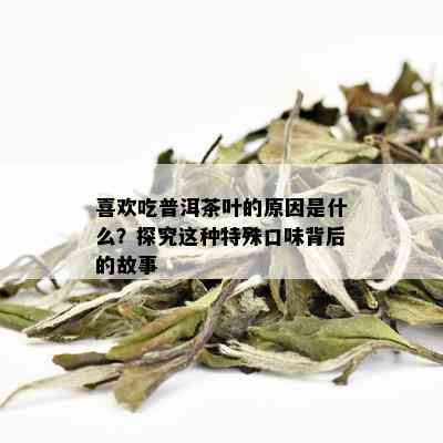 喜欢吃普洱茶叶的原因是什么？探究这种特殊口味背后的故事