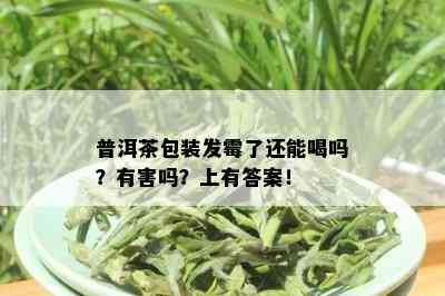 普洱茶包装发霉了还能喝吗？有害吗？上有答案！