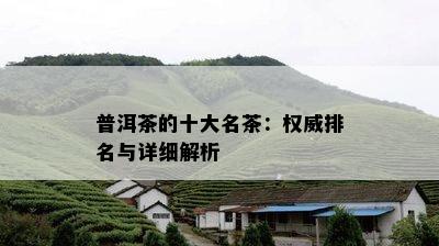 普洱茶的十大名茶：权威排名与详细解析