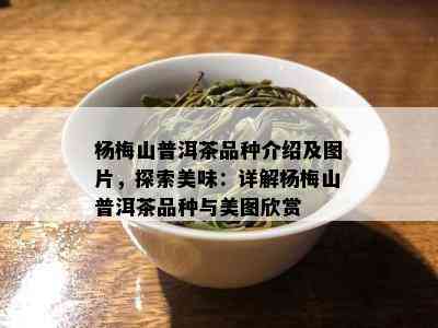 杨梅山普洱茶品种介绍及图片，探索美味：详解杨梅山普洱茶品种与美图欣赏