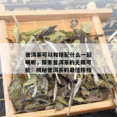 普洱茶可以和搭配什么一起喝呢，探索普洱茶的无限可能：揭秘普洱茶的更佳搭档