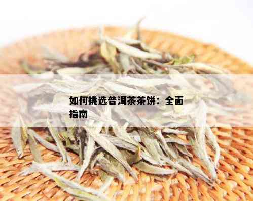 如何挑选普洱茶茶饼：全面指南