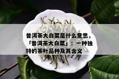 普洱茶大白菜是什么意思，「普洱茶大白菜」：一种独特的茶叶品种及其含义