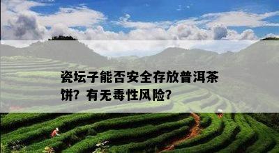 瓷坛子能否安全存放普洱茶饼？有无性风险？