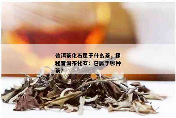 普洱茶化石属于什么茶，探秘普洱茶化石：它属于哪种茶？