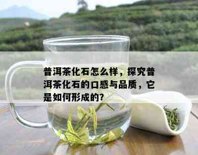 普洱茶化石怎么样，探究普洱茶化石的口感与品质，它是如何形成的？