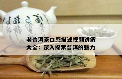 老普洱茶口感描述视频讲解大全：深入探索普洱的魅力