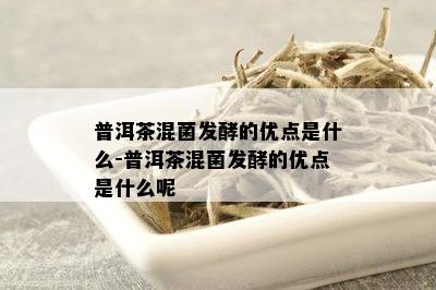 普洱茶混菌发酵的优点是什么-普洱茶混菌发酵的优点是什么呢