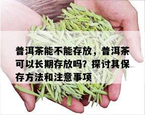 普洱茶能不能存放，普洱茶可以长期存放吗？探讨其保存方法和注意事项