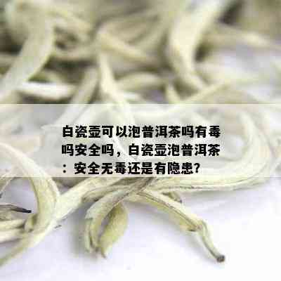 白瓷壶可以泡普洱茶吗有吗安全吗，白瓷壶泡普洱茶：安全无还是有隐患？