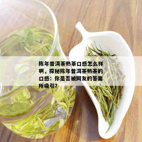 陈年普洱茶熟茶口感怎么样啊，探秘陈年普洱茶熟茶的口感：你是否被网友的答案所吸引？