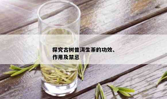 探究古树普洱生茶的功效、作用及禁忌