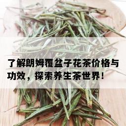 了解朗姆覆盆子花茶价格与功效，探索养生茶世界！