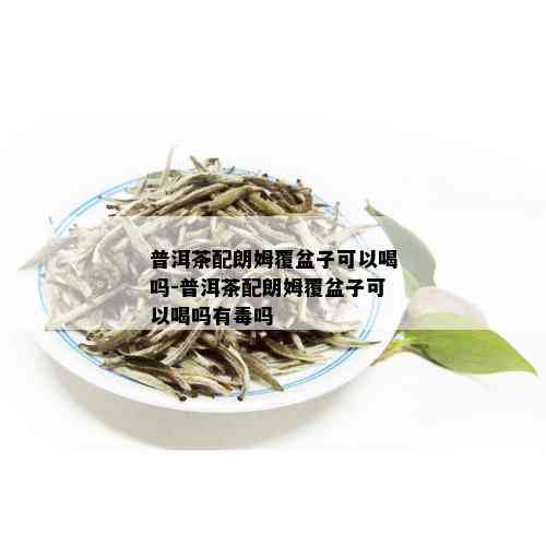 普洱茶配朗姆覆盆子可以喝吗-普洱茶配朗姆覆盆子可以喝吗有吗