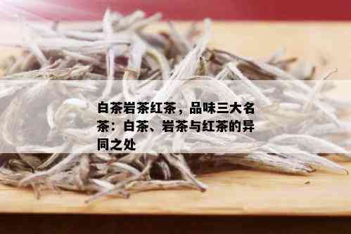 白茶岩茶红茶，品味三大名茶：白茶、岩茶与红茶的异同之处