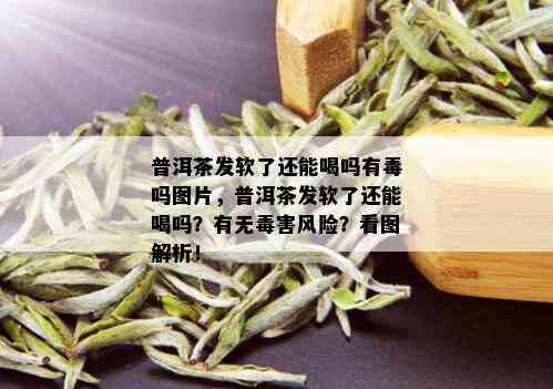 普洱茶发软了还能喝吗有吗图片，普洱茶发软了还能喝吗？有无害风险？看图解析！