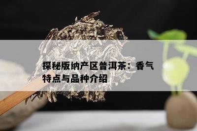 探秘版纳产区普洱茶：香气特点与品种介绍