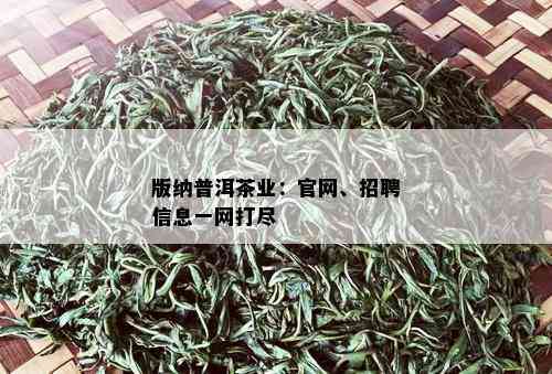 版纳普洱茶业：官网、招聘信息一网打尽