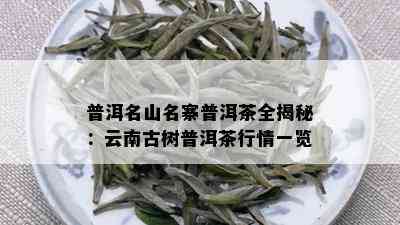 普洱名山名寨普洱茶全揭秘：云南古树普洱茶行情一览