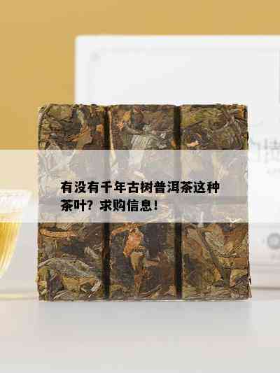 有没有千年古树普洱茶这种茶叶？求购信息！