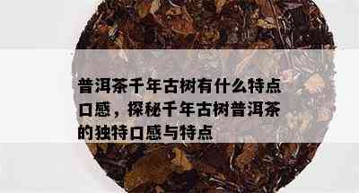 普洱茶千年古树有什么特点口感，探秘千年古树普洱茶的独特口感与特点