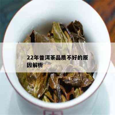 22年普洱茶品质不好的原因解析