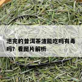 泡完的普洱茶渣能吃吗有吗？看图片解析