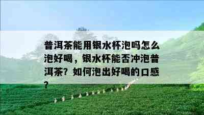 普洱茶能用银水杯泡吗怎么泡好喝，银水杯能否冲泡普洱茶？如何泡出好喝的口感？