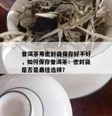 普洱茶用密封袋保存好不好，如何保存普洱茶：密封袋是否是更佳选择？