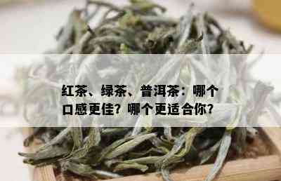 红茶、绿茶、普洱茶：哪个口感更佳？哪个更适合你？