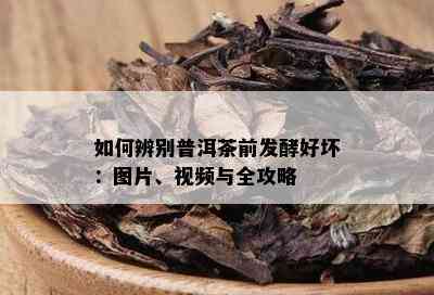 如何辨别普洱茶前发酵好坏：图片、视频与全攻略