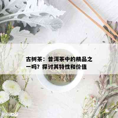 古树茶：普洱茶中的精品之一吗？探讨其特性和价值