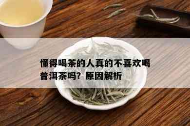 懂得喝茶的人真的不喜欢喝普洱茶吗？原因解析