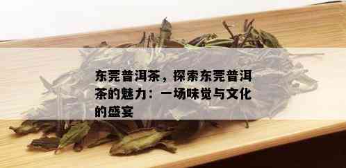 东莞普洱茶，探索东莞普洱茶的魅力：一场味觉与文化的盛宴