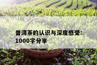 普洱茶的认识与深度感受：1000字分享