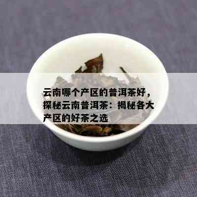 云南哪个产区的普洱茶好，探秘云南普洱茶：揭秘各大产区的好茶之选