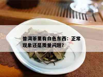 普洱茶里有白色东西：正常现象还是质量问题？