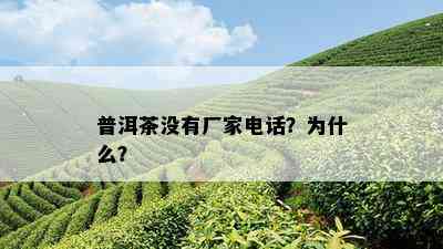 普洱茶没有厂家电话？为什么？