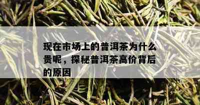 现在市场上的普洱茶为什么贵呢，探秘普洱茶高价背后的原因