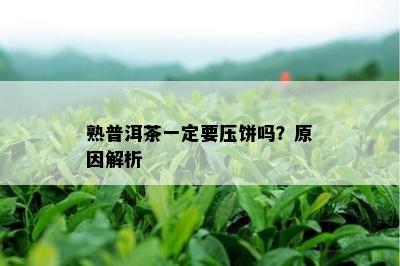 熟普洱茶一定要压饼吗？原因解析