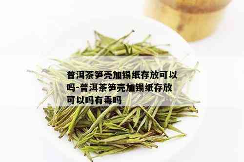 普洱茶笋壳加锡纸存放可以吗-普洱茶笋壳加锡纸存放可以吗有吗