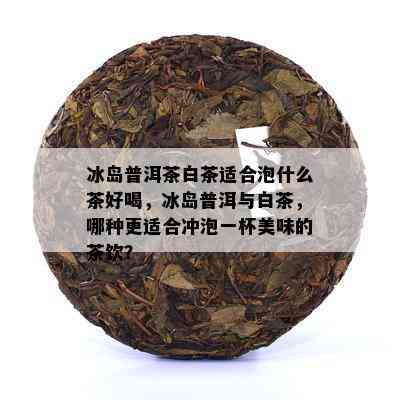 冰岛普洱茶白茶适合泡什么茶好喝，冰岛普洱与白茶，哪种更适合冲泡一杯美味的茶饮？